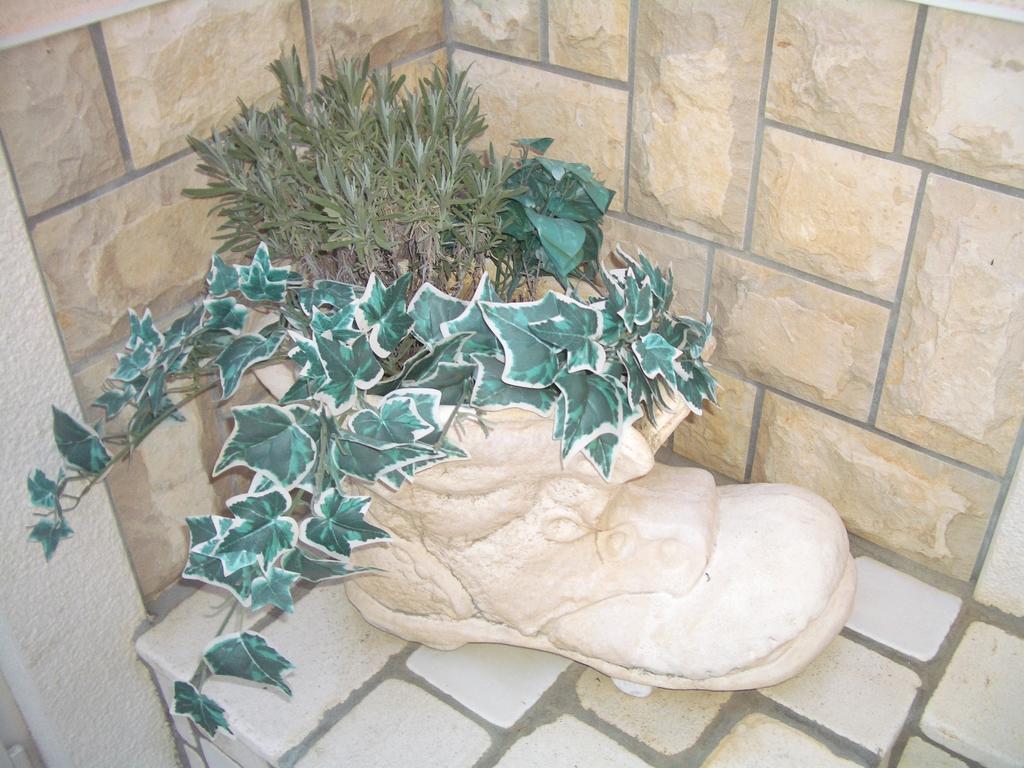 וודיצה Guest House As מראה חיצוני תמונה