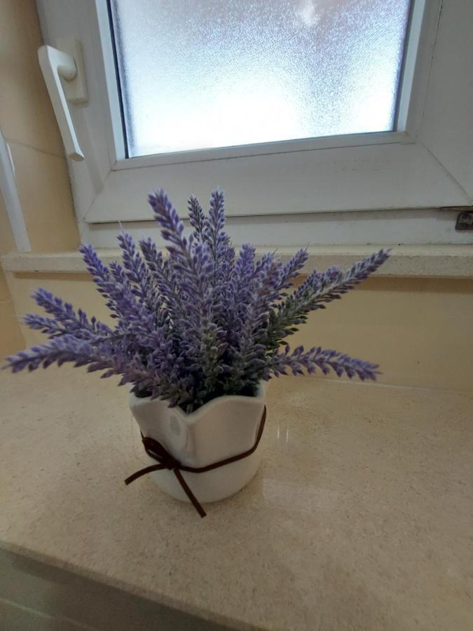 וודיצה Guest House As מראה חיצוני תמונה